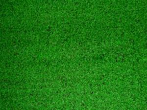 PVC糊樹(shù)脂價(jià)格回暖,一季報(bào)業(yè)績(jī)超預(yù)期